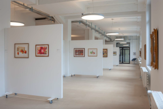 Museum und Kunstraum