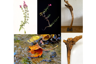 Gruppenausstellung «Fotografie und Skulptur im Dialog»