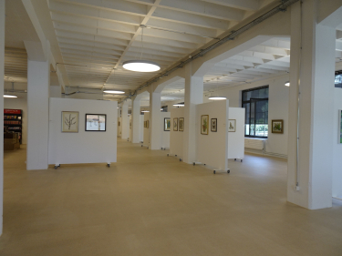 Freiwillige für den Museumsdienst